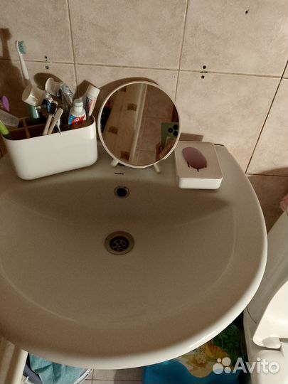 Раковина тюльпан бу