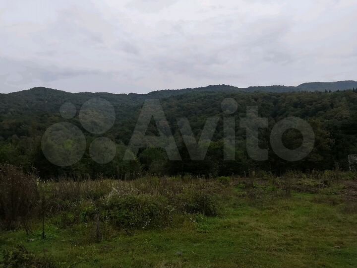 Участок 5,67 га (ИЖС)