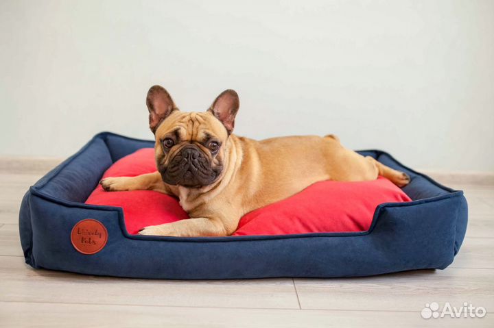 Лежанки, лежаки, кровати