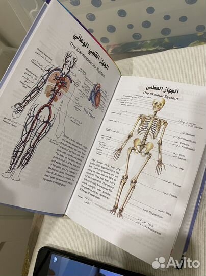 Dictionary AL kafi arabic english
