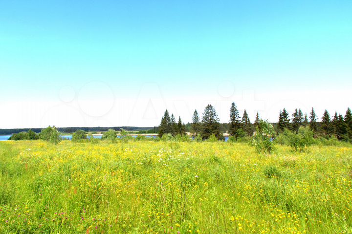 Участок 50 сот. (ИЖС)