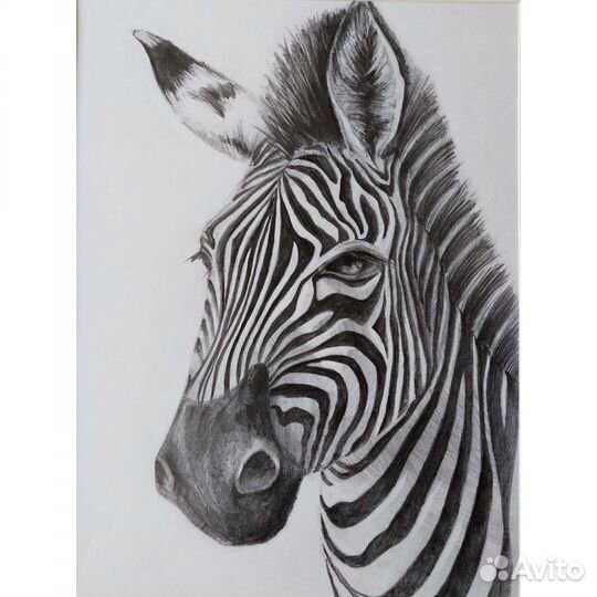 Картины карандашом