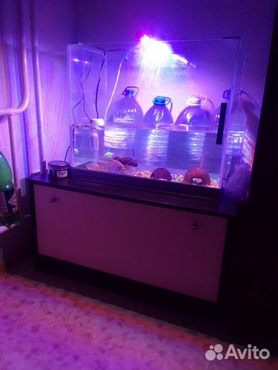 Украшения для аквариума