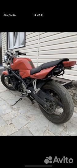 Suzuki bandit