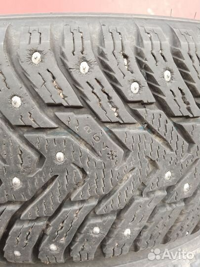 Nokian Tyres Hakkapeliitta 8 205/65 R15