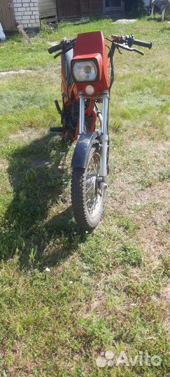 Зид 50 пилот