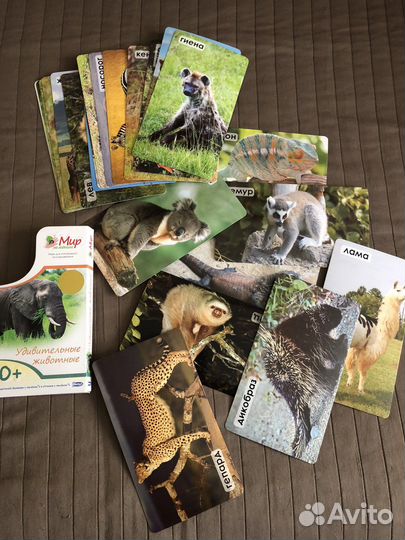 Настольные игры