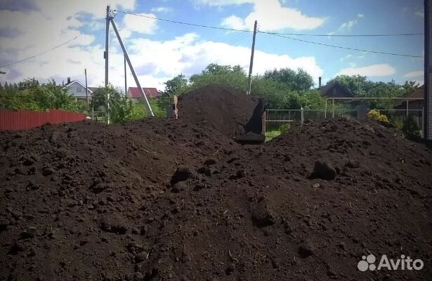 Чернозем рязанский