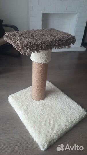 Когтеточка