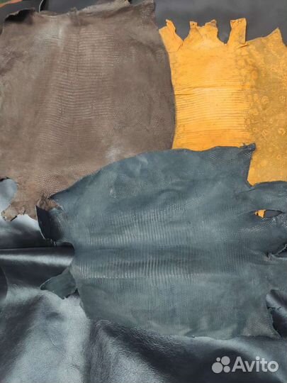 Кожа варана