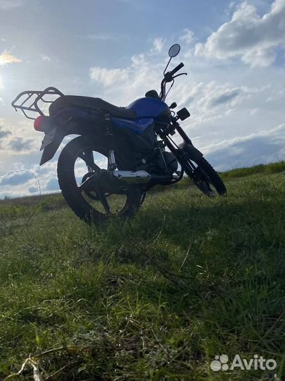 Альфа андес люкс