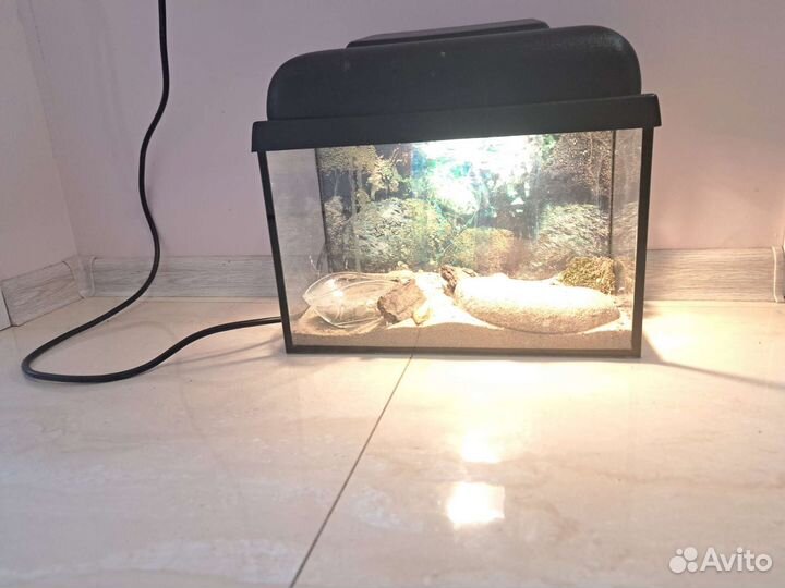 Аквариум 10 литров