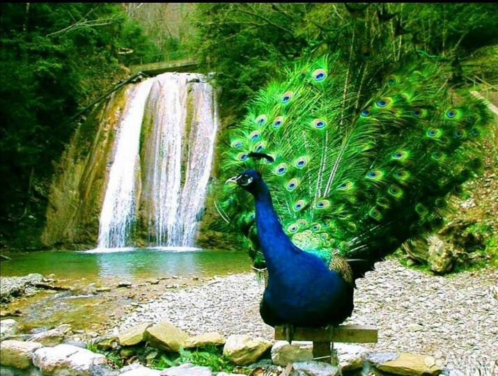 Тренинг-тур Сочи