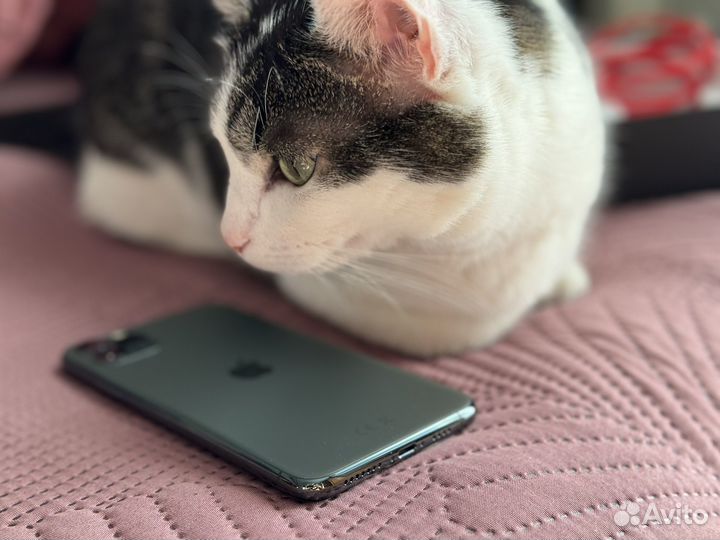 iPhone 11 Pro Max, 64 ГБ