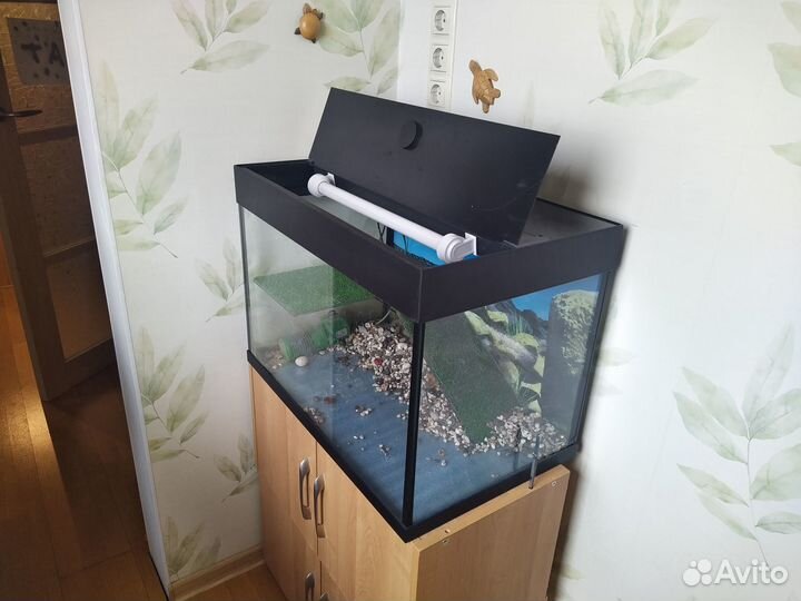 Аквариум для красноухой черепахи 80 л