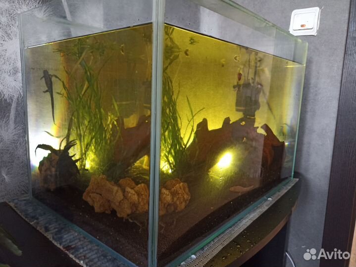 Аквариум