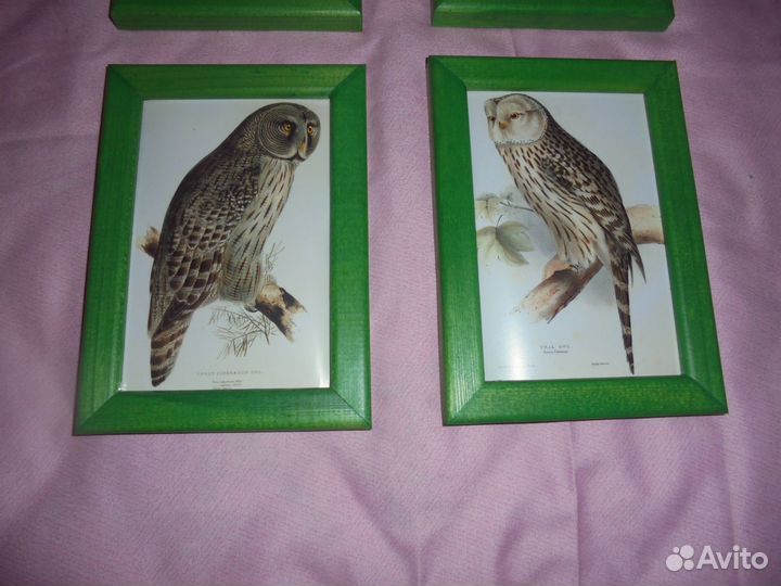 4 панно Птицы леса зелён дерев рамка 13 х 17,5 см