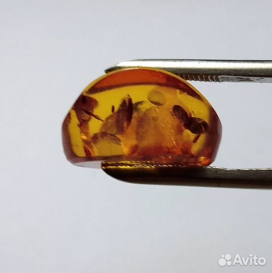 Янтарь кабошон с инклюзами