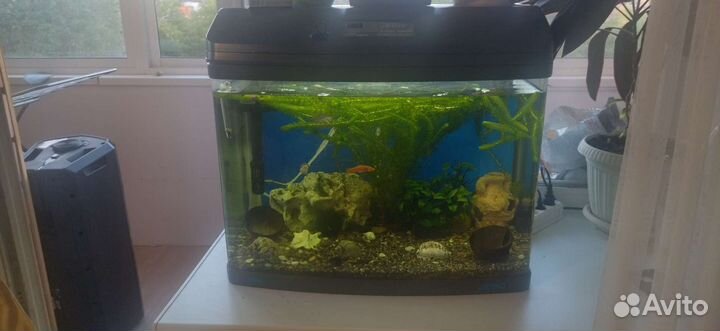 Аквариум jebo 90л
