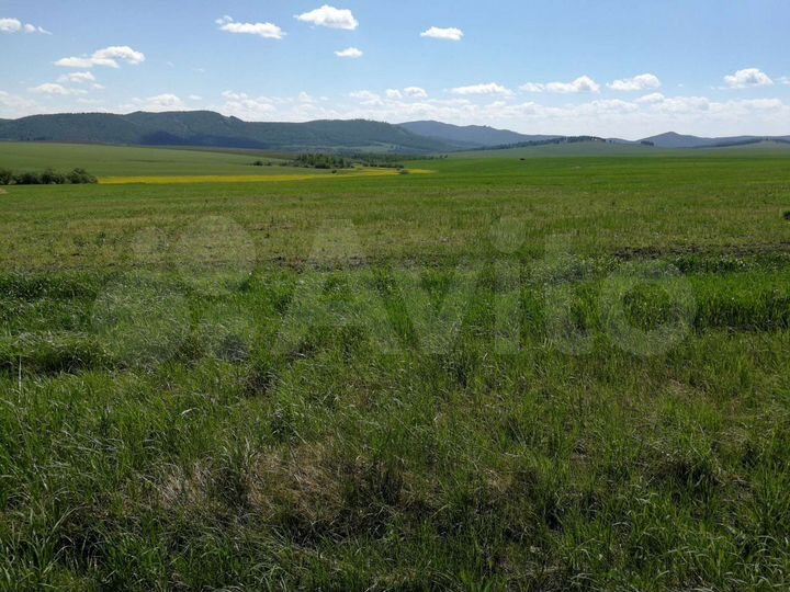 Участок 20,6 га (СНТ, ДНП)