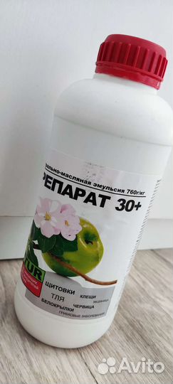 Вариегантная Монстера Альба