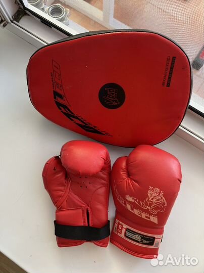 Лапа для единоборств