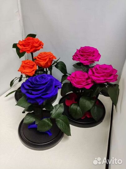 Роза в колбе оптом и в розницу