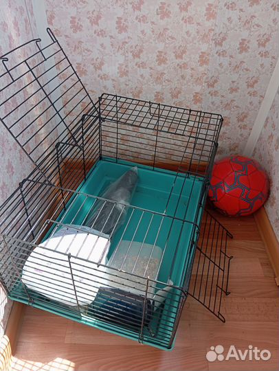 Клетка для кролика