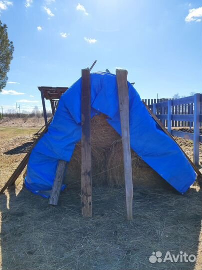 Продам сено в рулонах