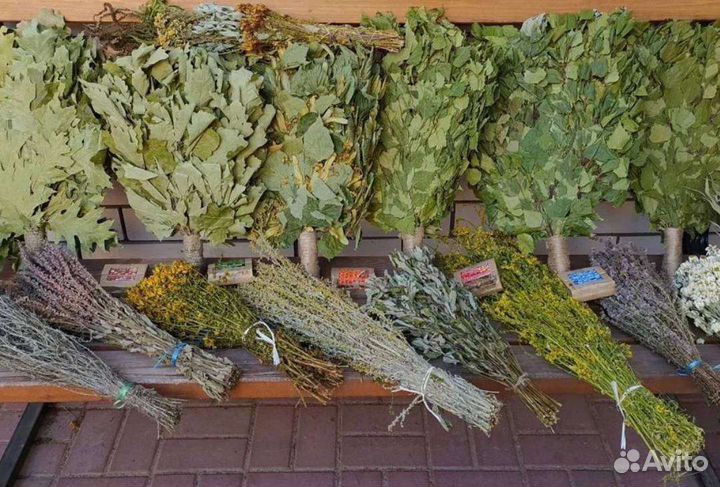 Веники для бани. Дубовые. Березовые. Запарки