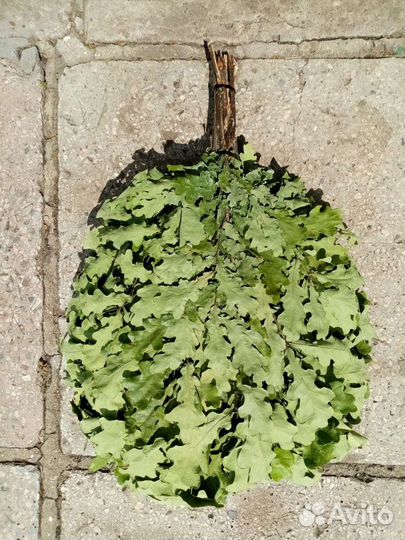 Веники для бани, дубовые 2023