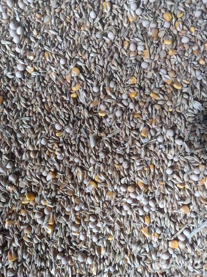 Зерносмесь