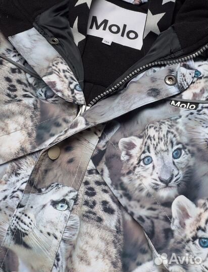 Molo polaris snowy leopards 104, 110 барсы