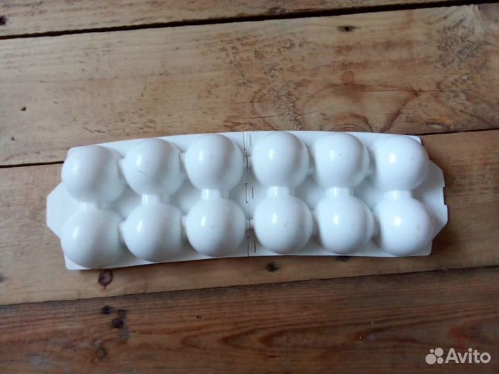 Контейнер для переноски и хранения яиц