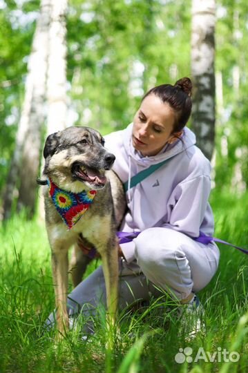 Собака из приюта - лучший друг