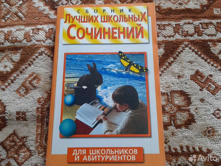 Лучшие школьные сочинения