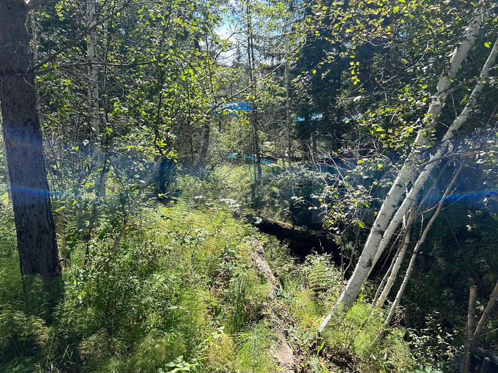 Участок 14 сот. (СНТ, ДНП)