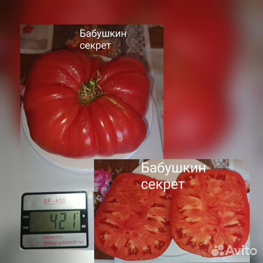 Семена томат помидор