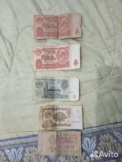 Куры времён СССР