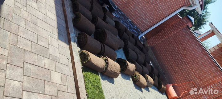 Рулонный газон под ключ/Полив