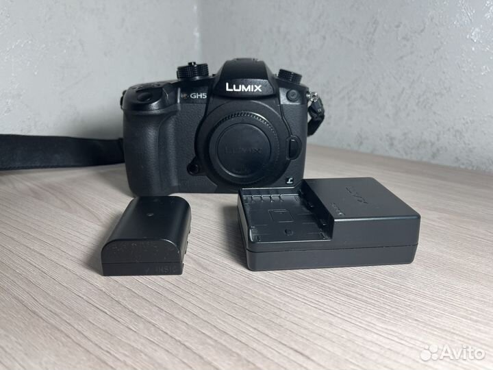 Фотоаппарат Panasonic Lumix DC-GH5 Body