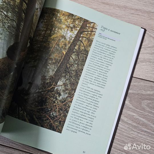 Иван Шишкин, книга, альбом