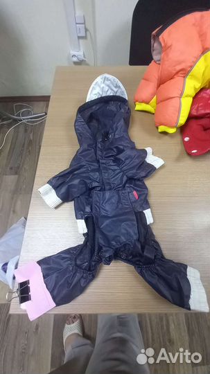 Одежда для собак, б/у