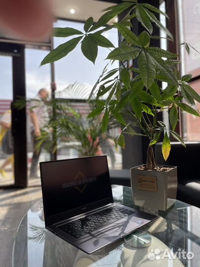 Б/у ноутбуки