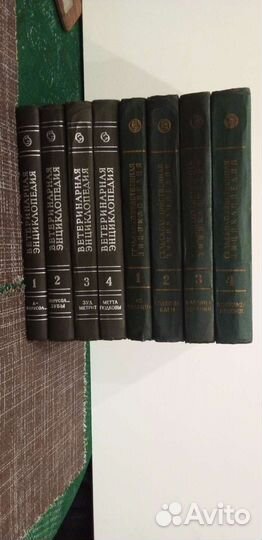 Энциклопедия СССР