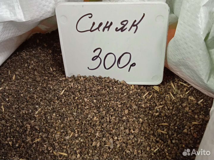 Семена кормовой свеклы Бригадир (Германия)