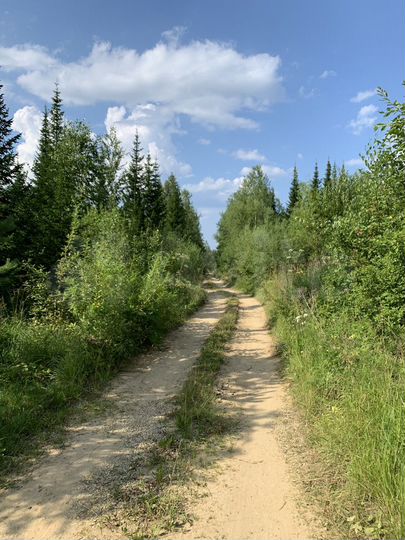 Дача 20 м² на участке 6,6 сот.