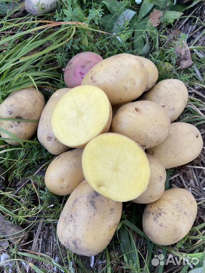 Доставка продуктов питания