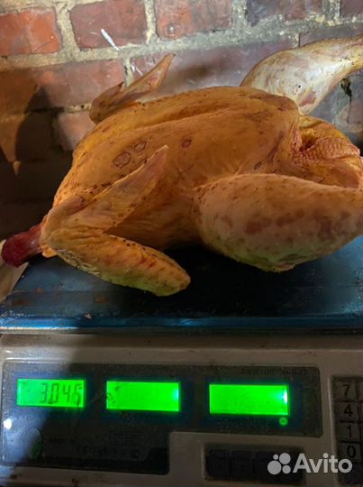 Мясо домашнего бройлера