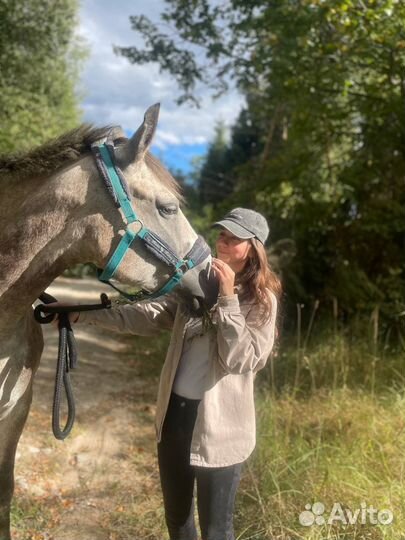 Катание на лошадях, занятия, фотосессии